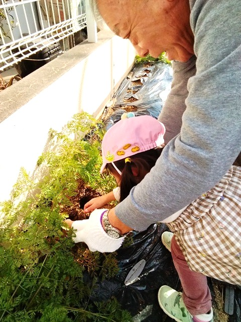 光善寺保育園(大阪府枚方市/光善寺駅/保育士・保育スタッフ)_2